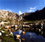 Pack Trips to beautiful  meadows and lakes